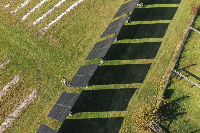 Solar panels arranged in farm
